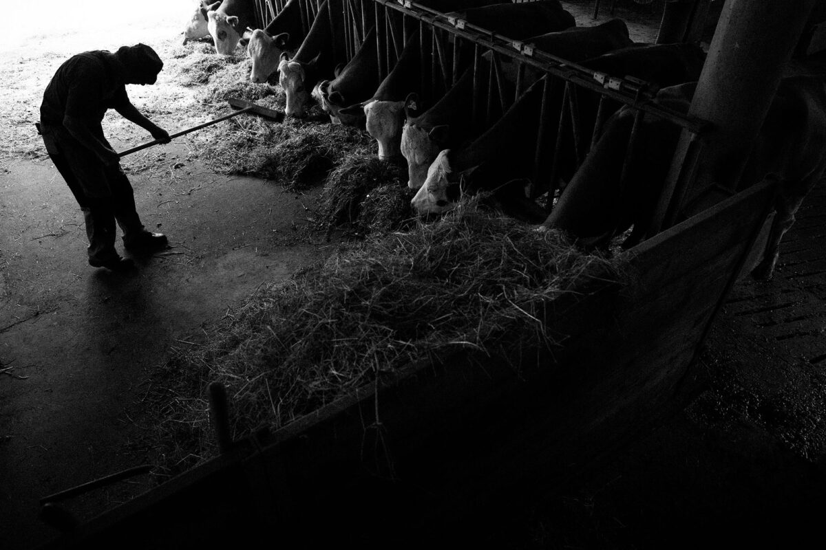 Dairy farmers in the Bavarian mountains