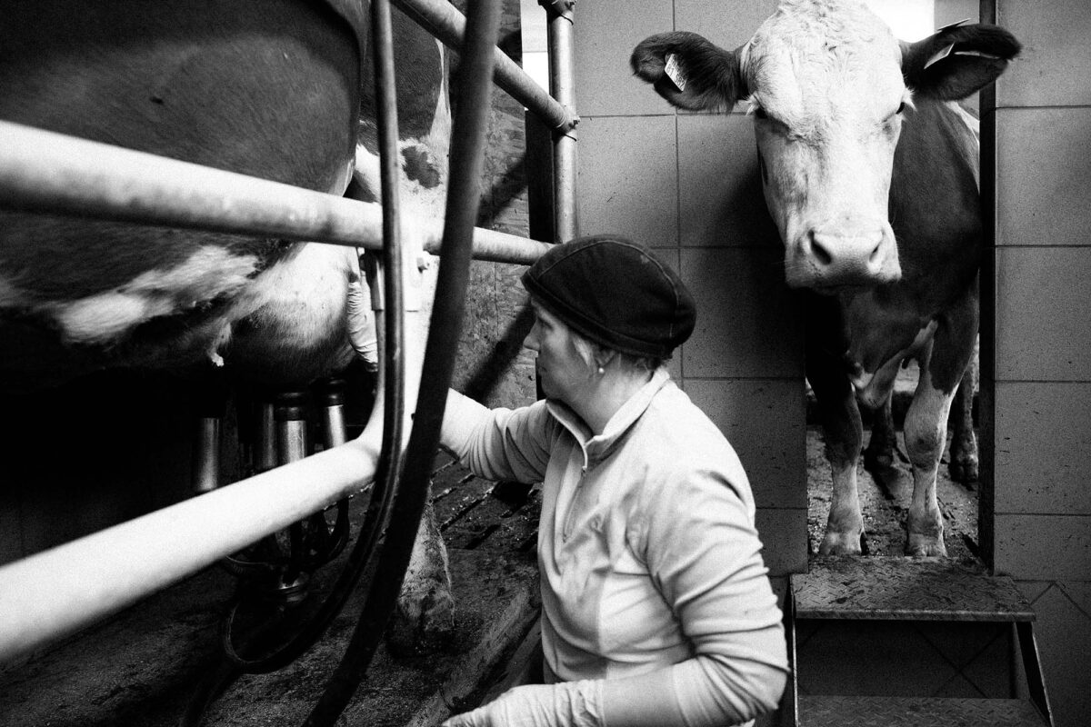 Dairy farmers in the Bavarian mountains