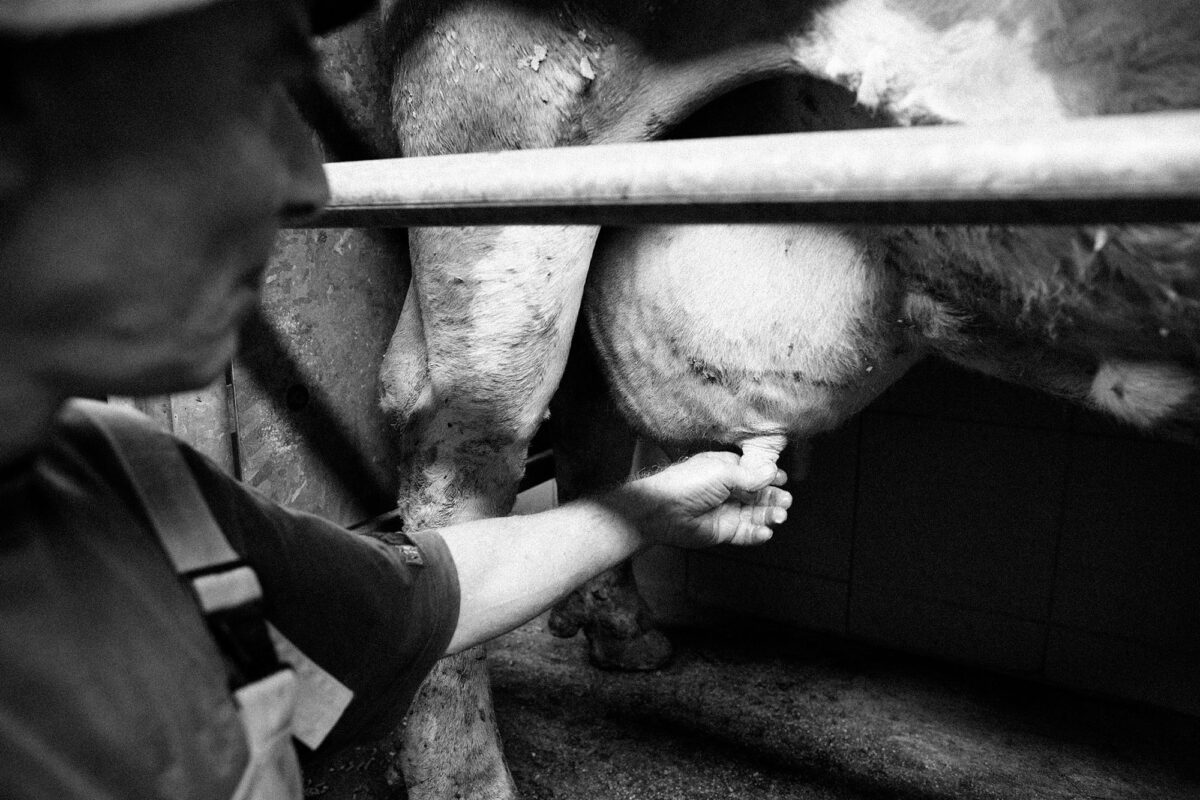 Dairy farmers in the Bavarian mountains