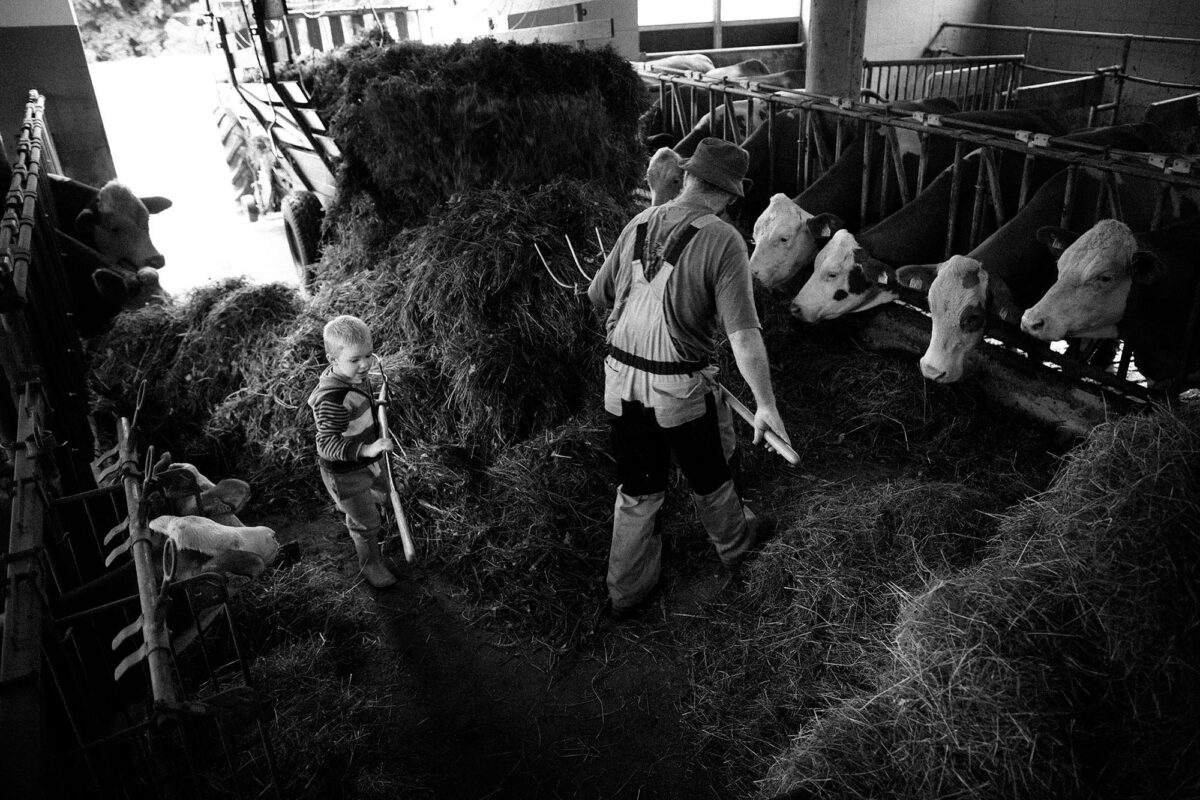 Dairy farmers in the Bavarian mountains