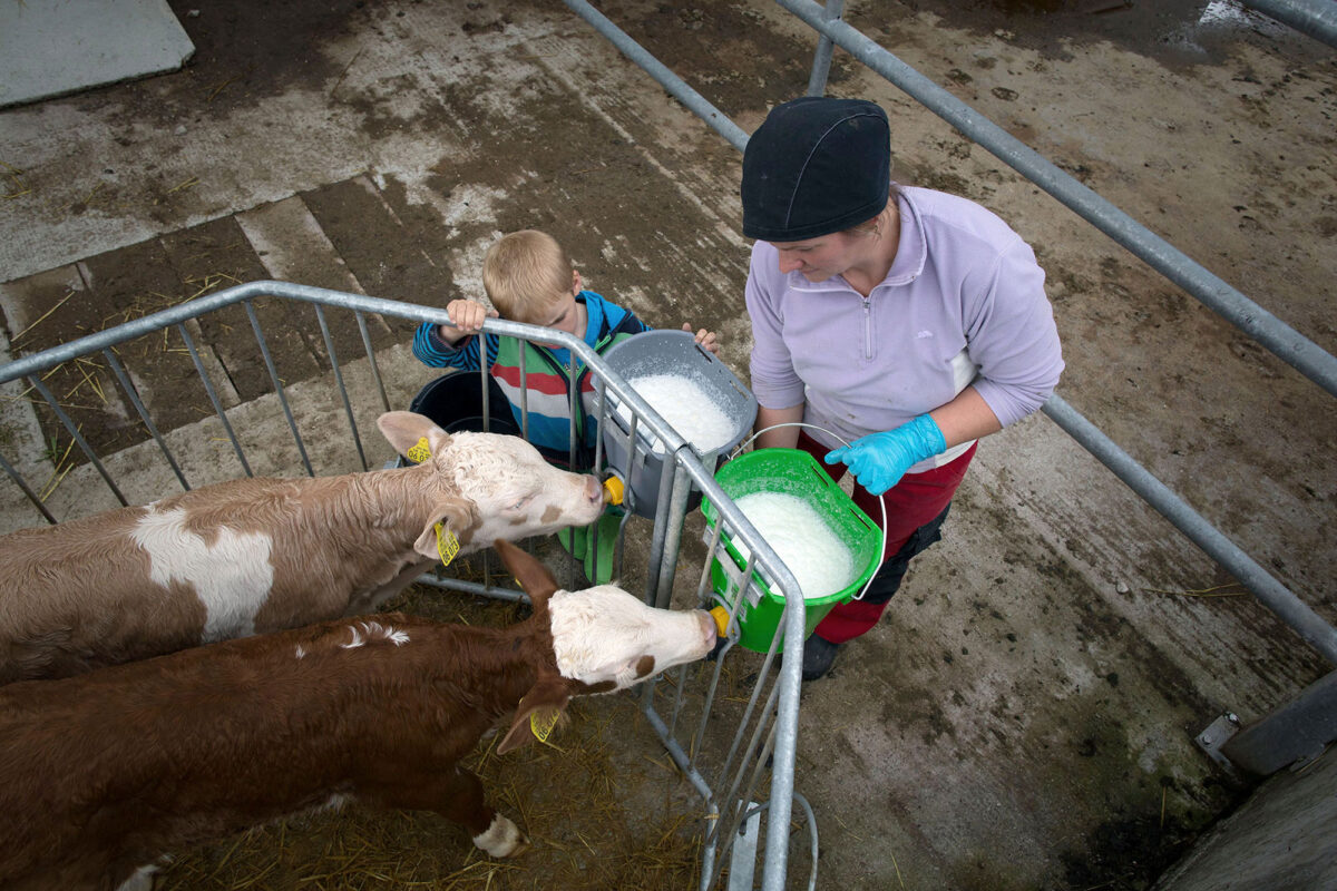 Dairy farmers in the Bavarian mountains