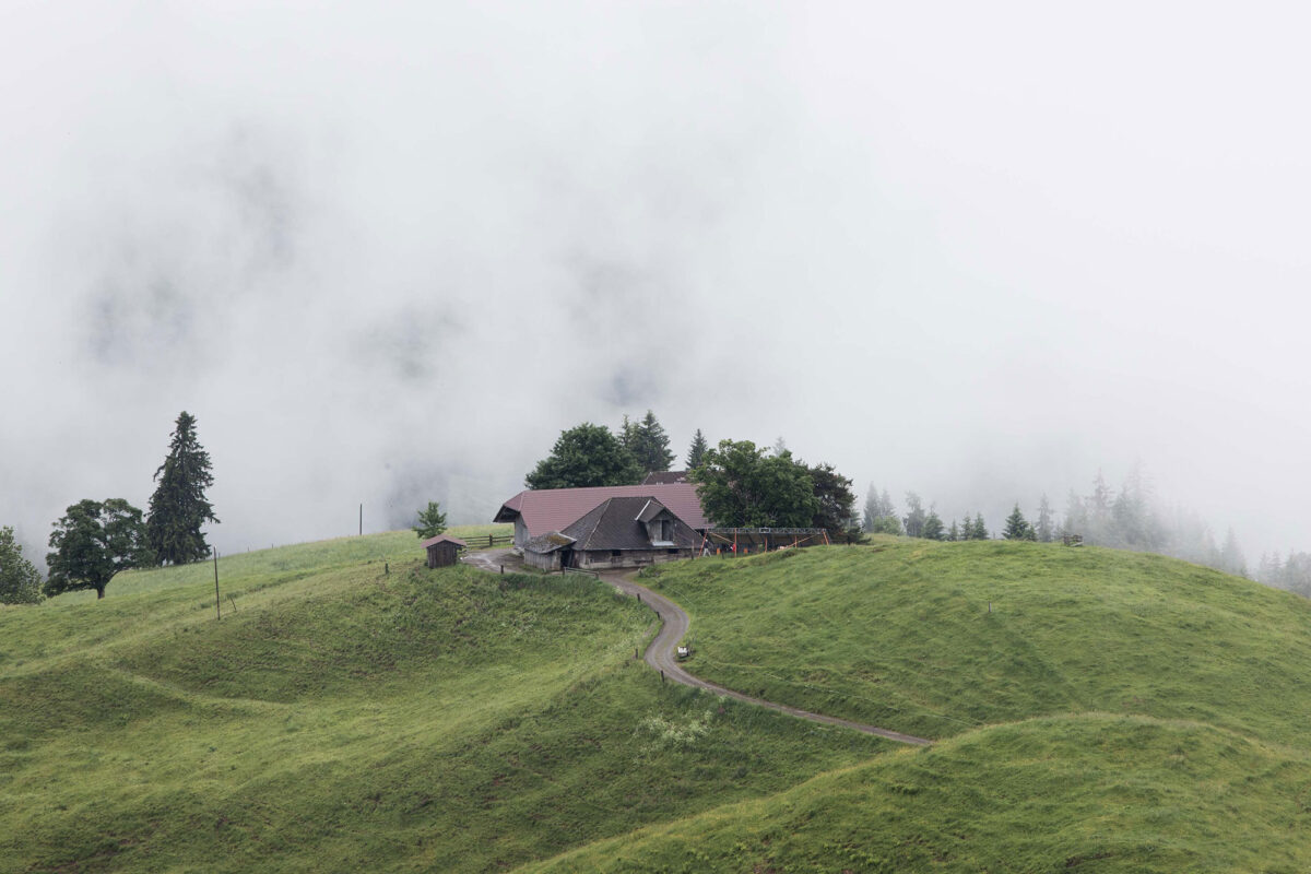 Peace at last on the alp