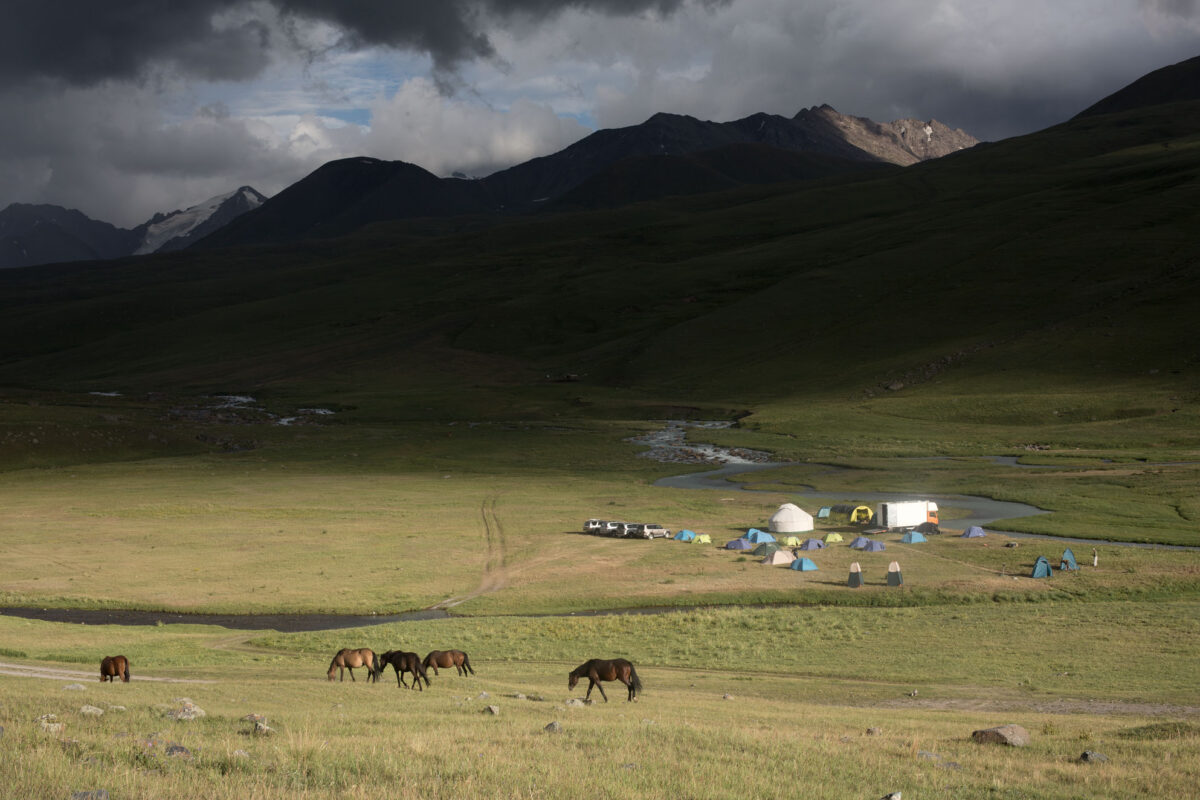 In the territory of the last snow leopards