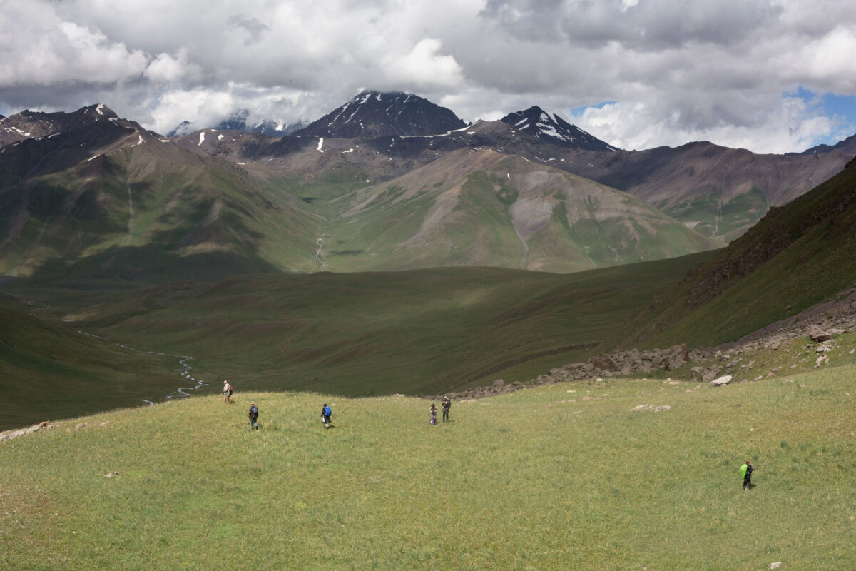 In the territory of the last snow leopards