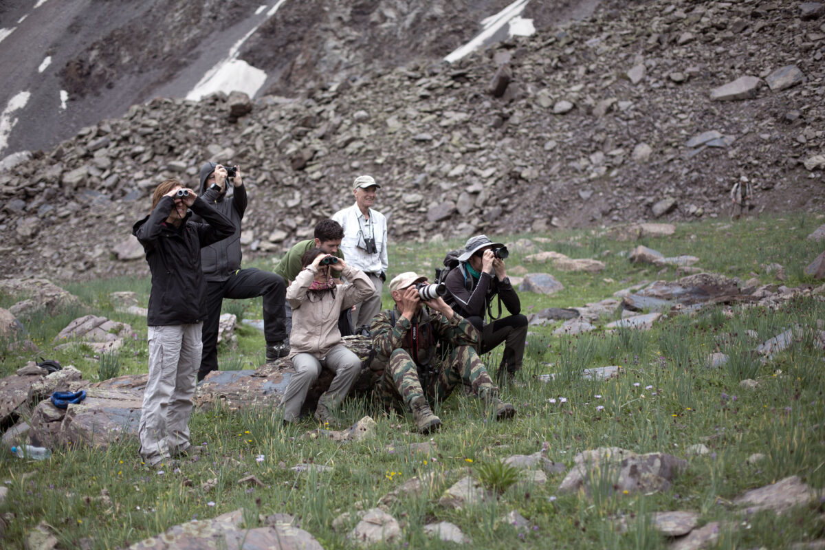 In the territory of the last snow leopards