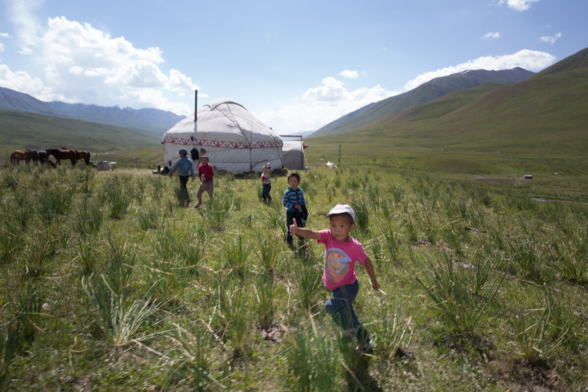 In the territory of the last snow leopards